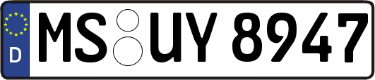 MS-UY8947
