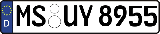 MS-UY8955