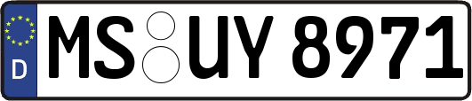 MS-UY8971