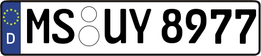 MS-UY8977