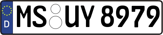 MS-UY8979