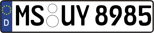 MS-UY8985