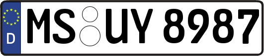 MS-UY8987