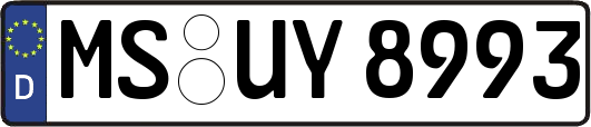 MS-UY8993