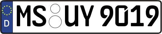 MS-UY9019