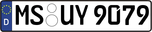 MS-UY9079