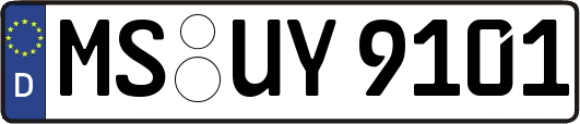 MS-UY9101