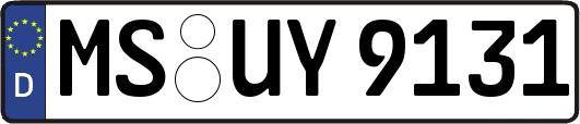 MS-UY9131