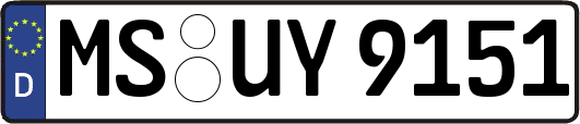 MS-UY9151