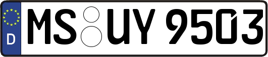 MS-UY9503