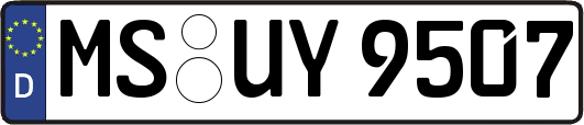 MS-UY9507