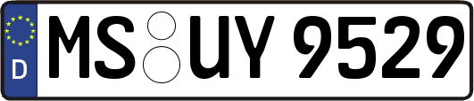 MS-UY9529