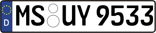 MS-UY9533