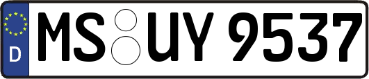 MS-UY9537