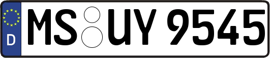 MS-UY9545