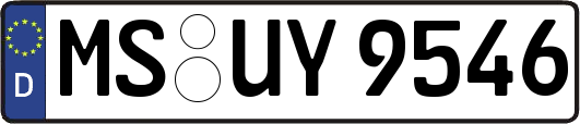 MS-UY9546