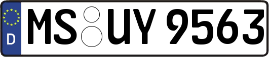 MS-UY9563