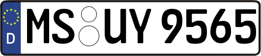 MS-UY9565