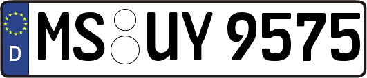MS-UY9575