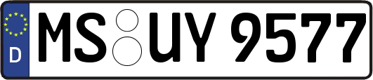 MS-UY9577