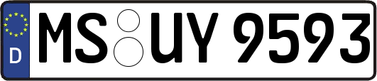 MS-UY9593