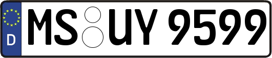 MS-UY9599