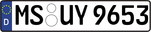 MS-UY9653