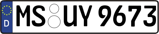 MS-UY9673