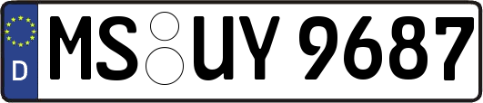 MS-UY9687