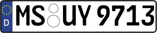 MS-UY9713