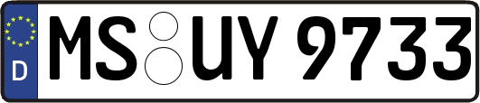 MS-UY9733