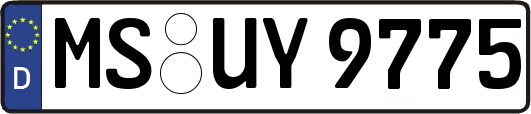 MS-UY9775