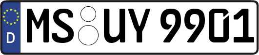 MS-UY9901