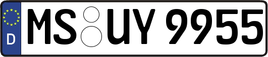 MS-UY9955