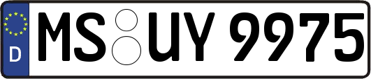 MS-UY9975