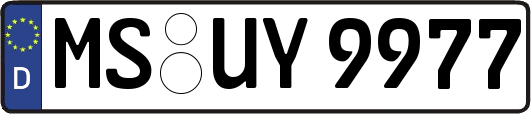 MS-UY9977