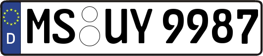 MS-UY9987