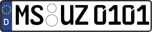 MS-UZ0101