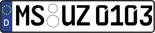 MS-UZ0103