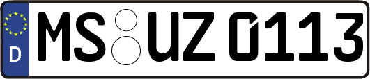 MS-UZ0113