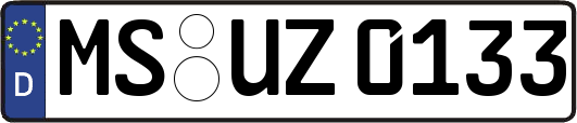 MS-UZ0133