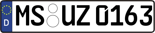 MS-UZ0163