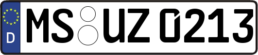MS-UZ0213