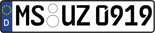 MS-UZ0919