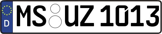 MS-UZ1013