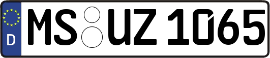 MS-UZ1065
