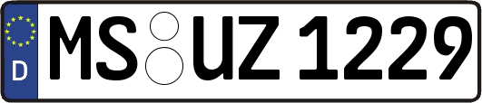 MS-UZ1229