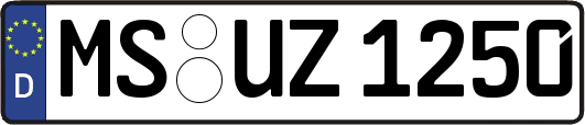 MS-UZ1250
