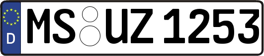 MS-UZ1253
