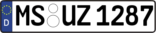 MS-UZ1287